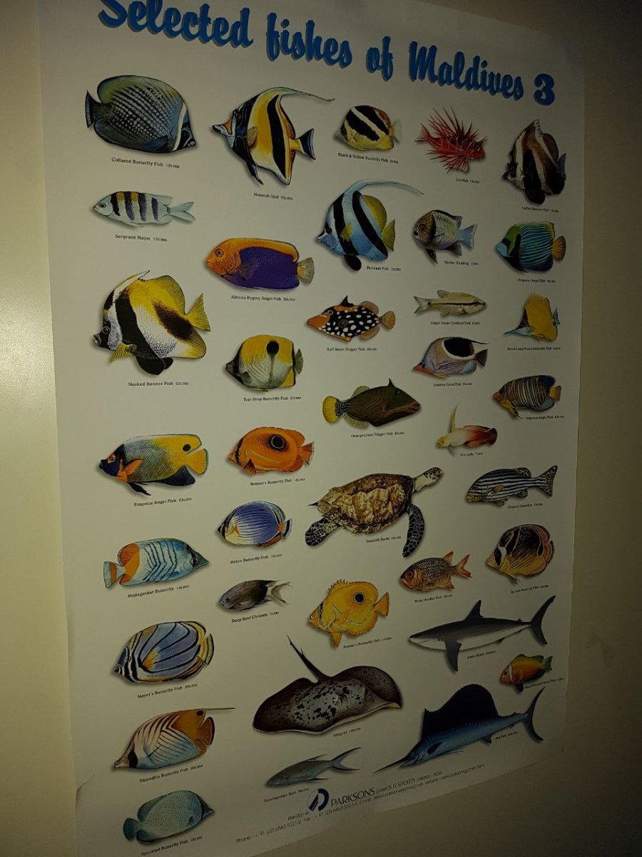 poster 3.jpg