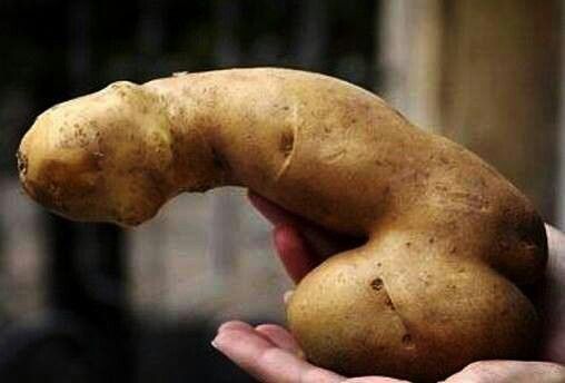 potato-dick.jpg