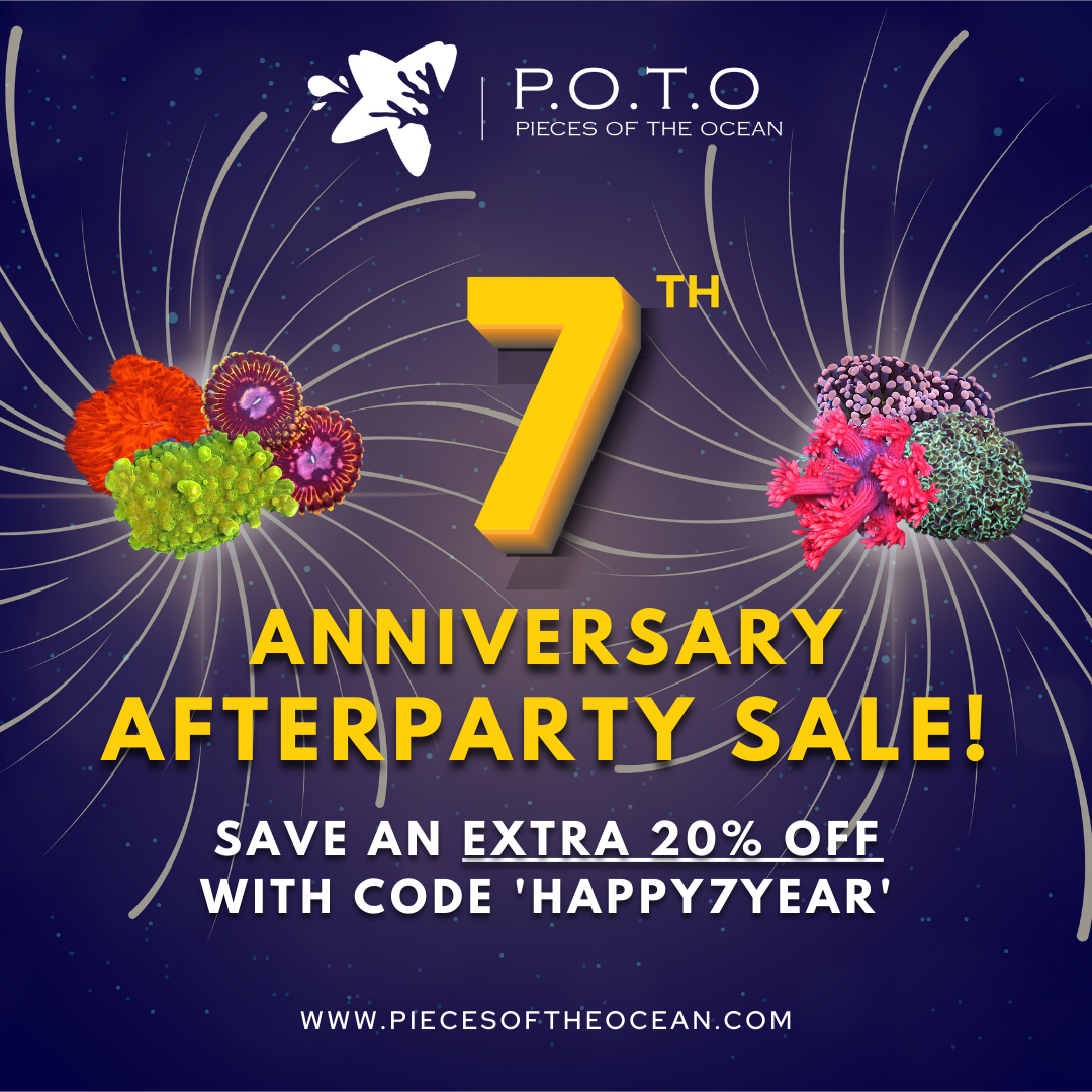 POTO Anniversary Afterparty Sale 1x1.png