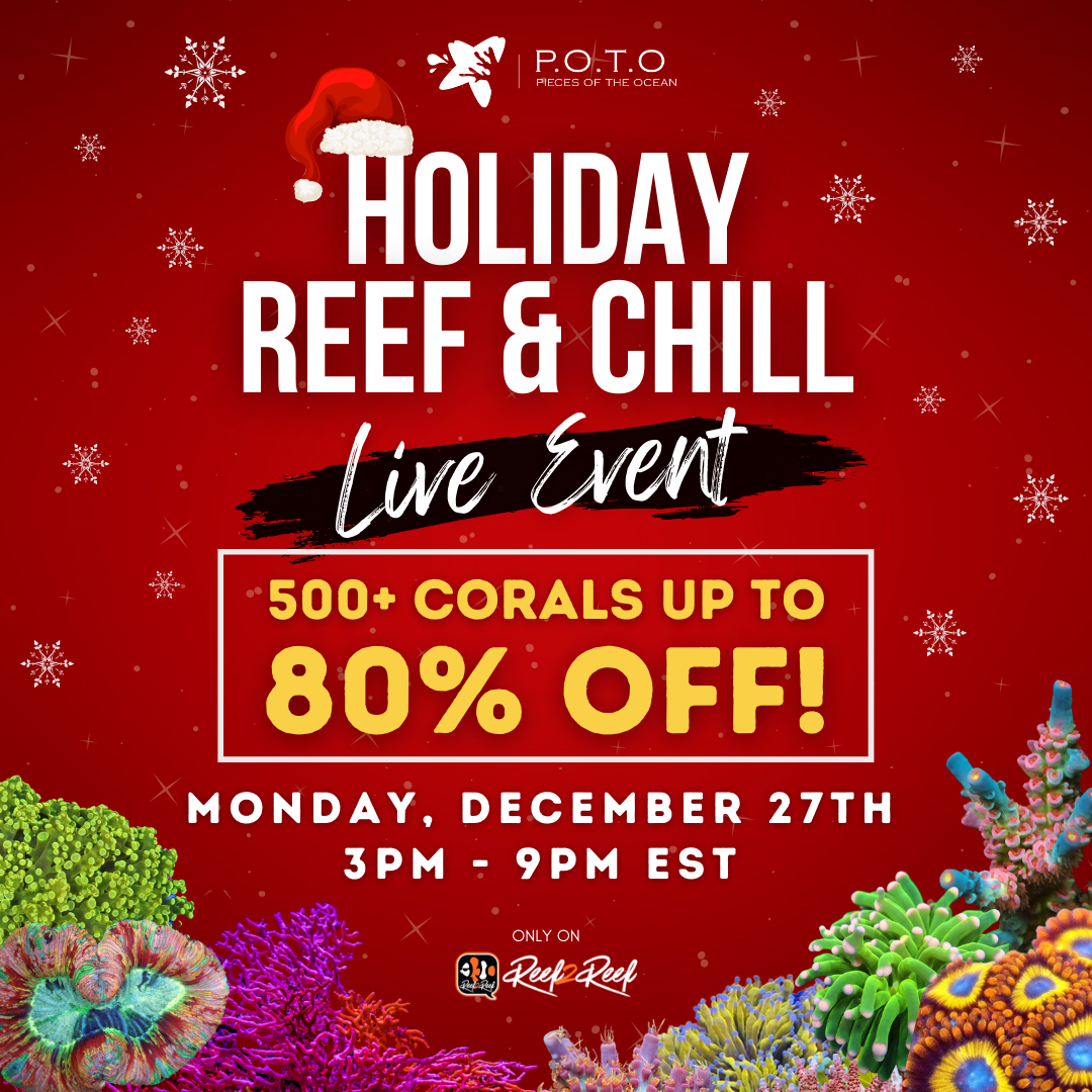 POTO Holiday Reef & Chill 1080x1080 v2.png