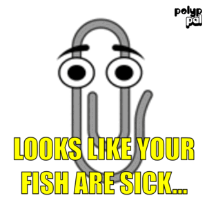 ppclippy.gif
