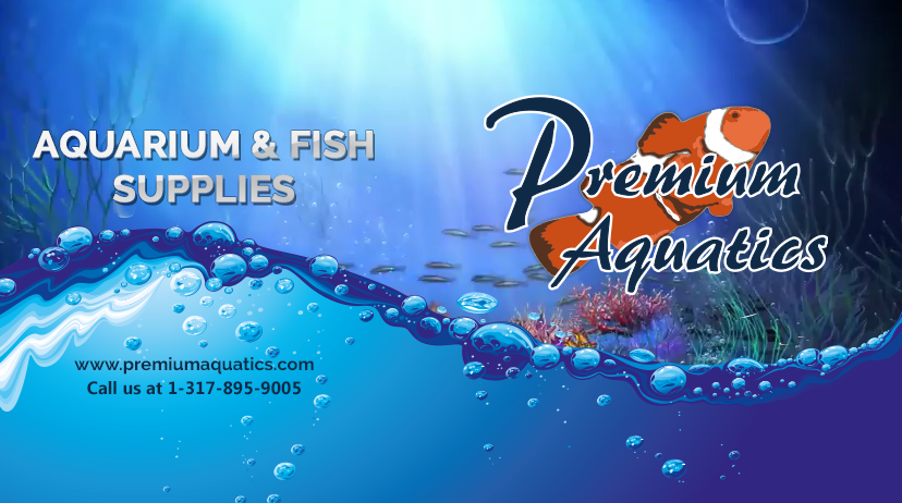premium aquatics.png