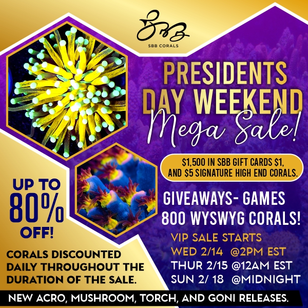 President day weekend Mega sale 600x600 (1).jpg