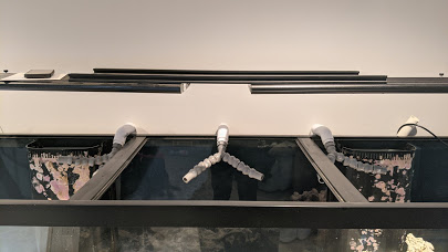 PressureManifold2.jpg