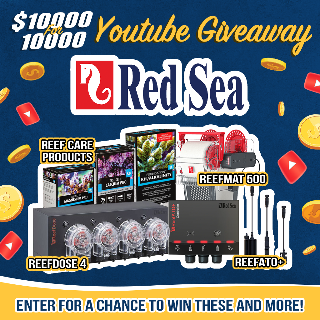 Prize-RedSea.png