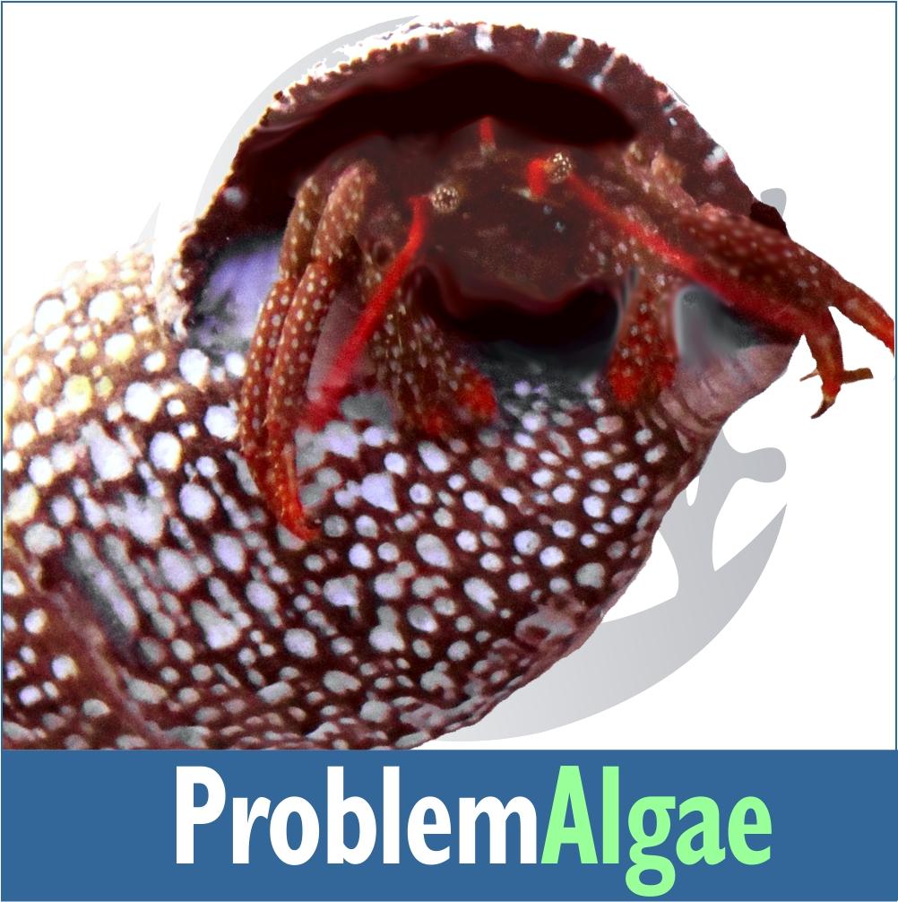 ProblemAlgae1000_1200x.jpg