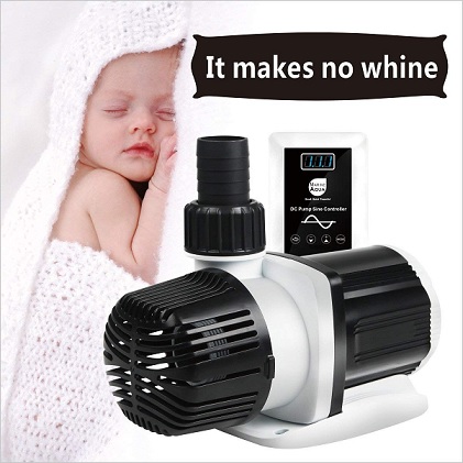 Pump.jpg