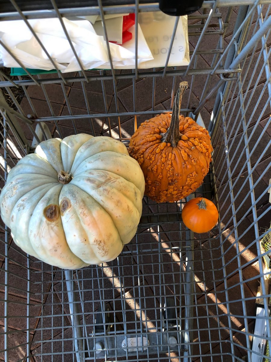 Pumpkins in the cart.jpg