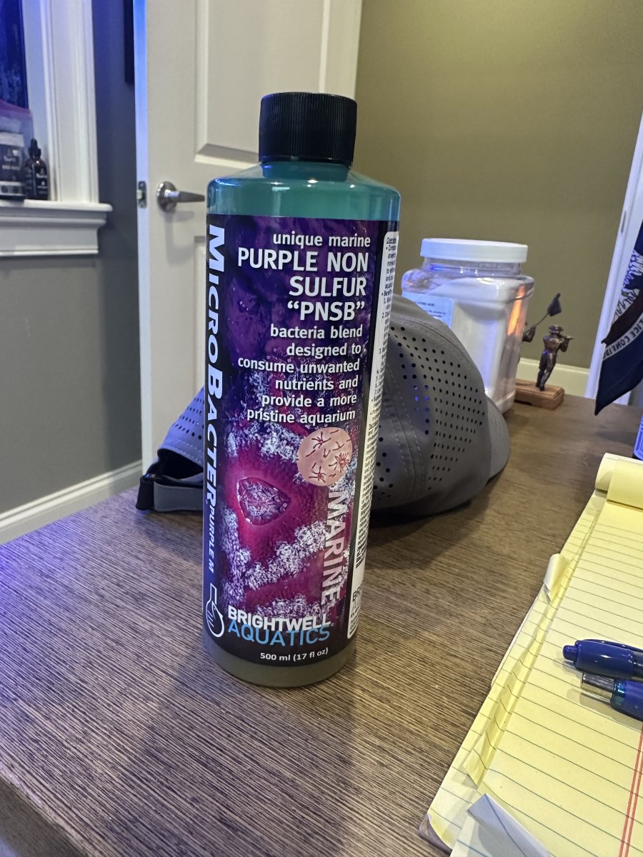 Purple M 1.jpeg