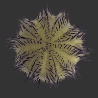 Purple Urchin.png