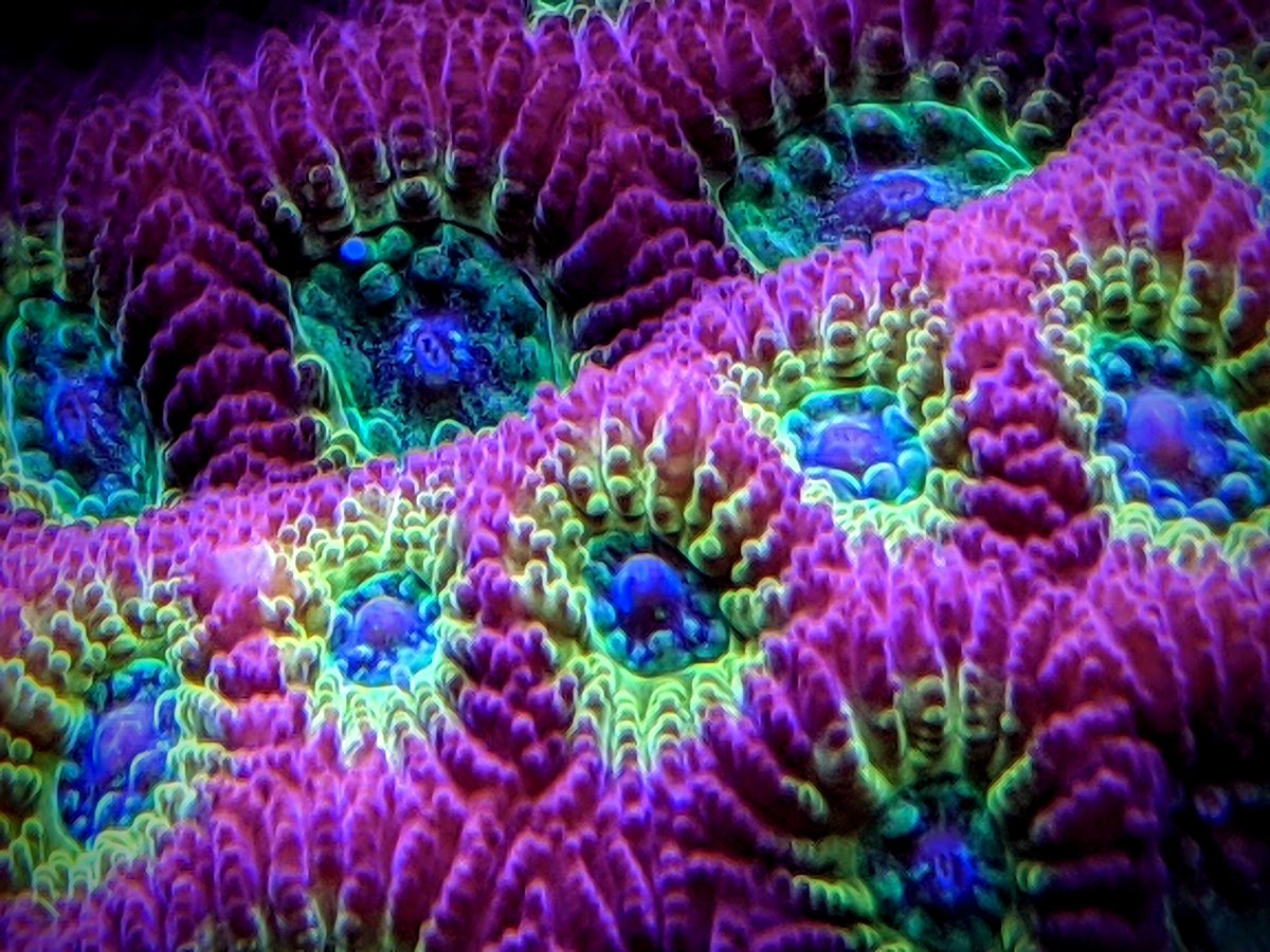PXL_20201102_231027481~2.jpg