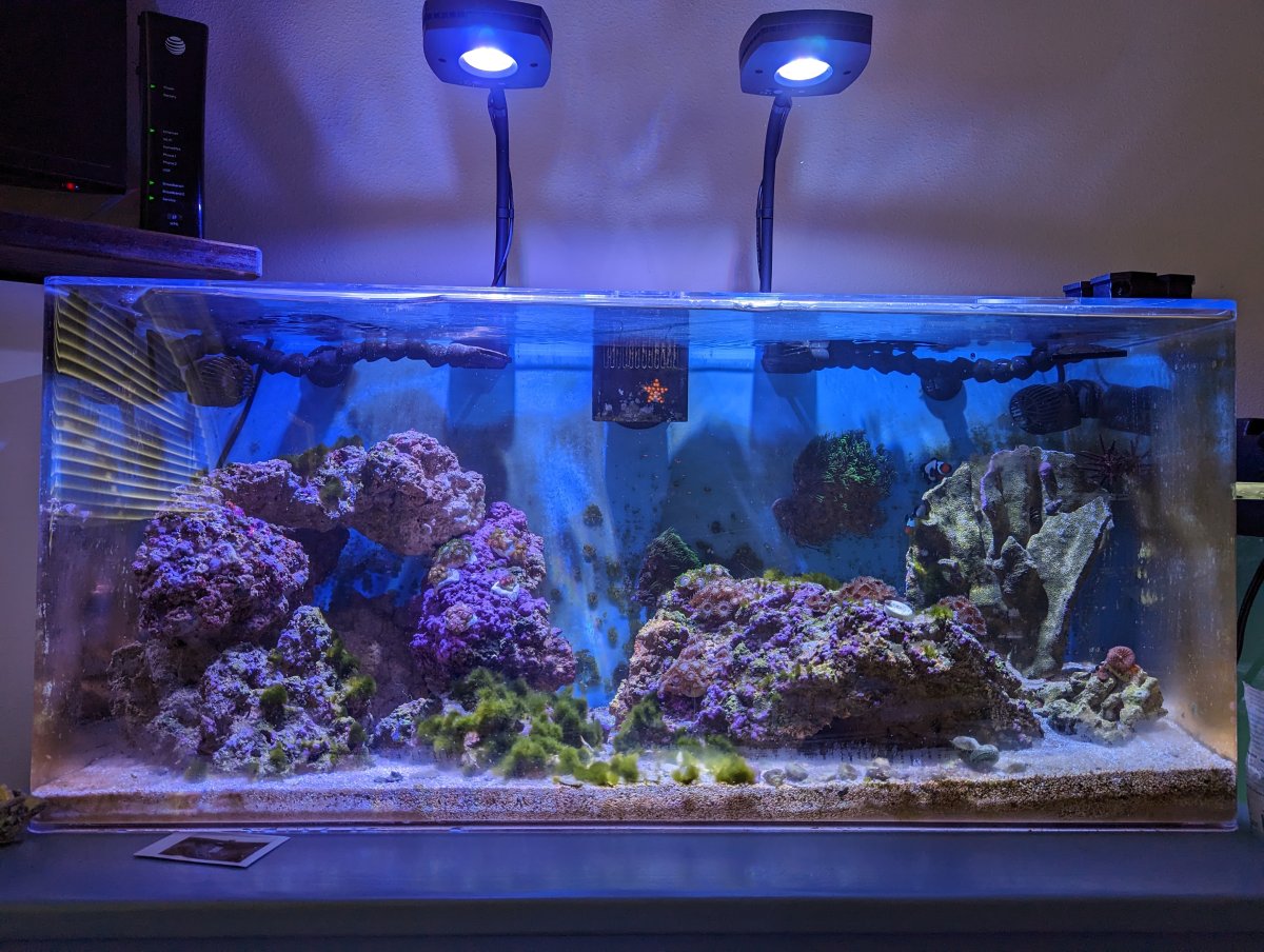 dodelijk Duplicaat binair Can I use this T5 fixture? | REEF2REEF Saltwater and Reef Aquarium Forum