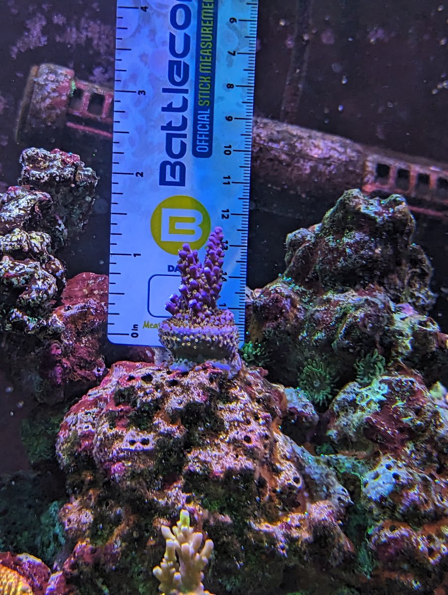 PXL_20230912_234512780.jpg