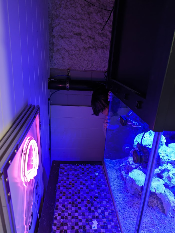 PXL_20240224_202013604.jpg