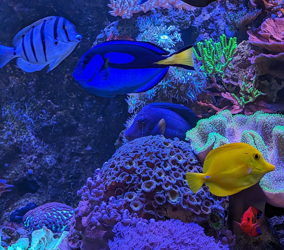 PXL_20240413_170451706.jpg