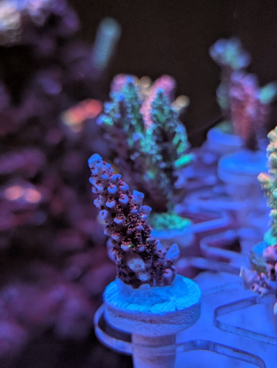 PXL_20250725_152439140.jpg