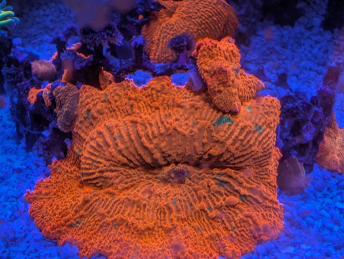 PXL_20250731_015000108.jpg