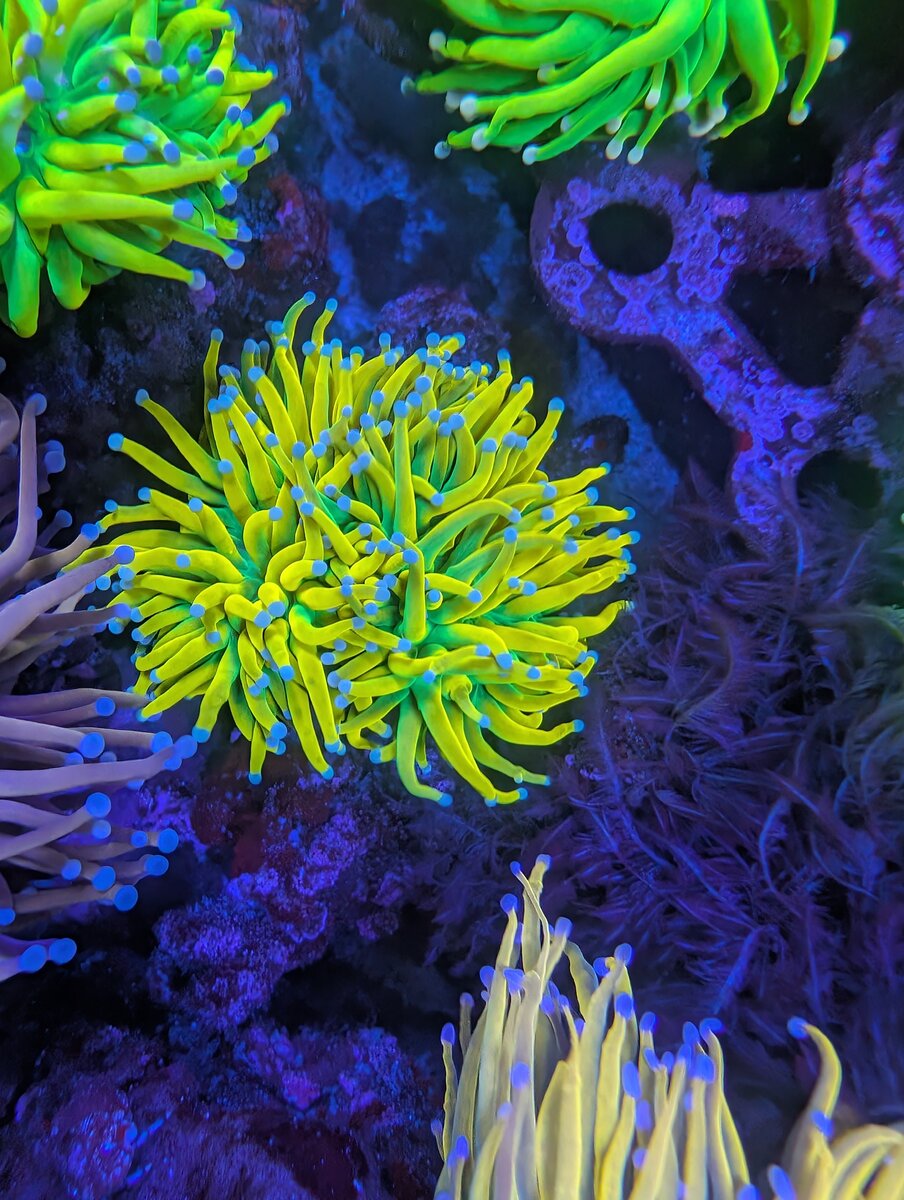 PXL_20250731_015327403.jpg