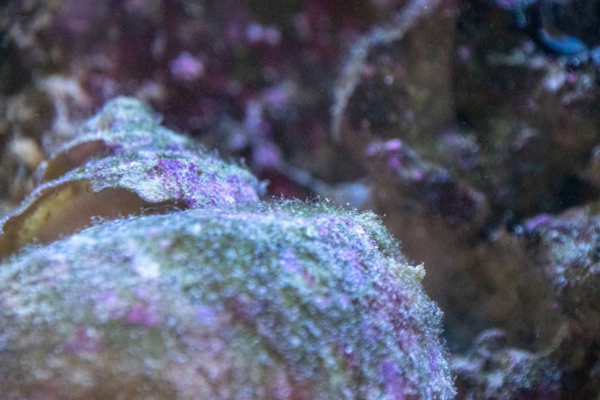 PXZ_0660.JPG
