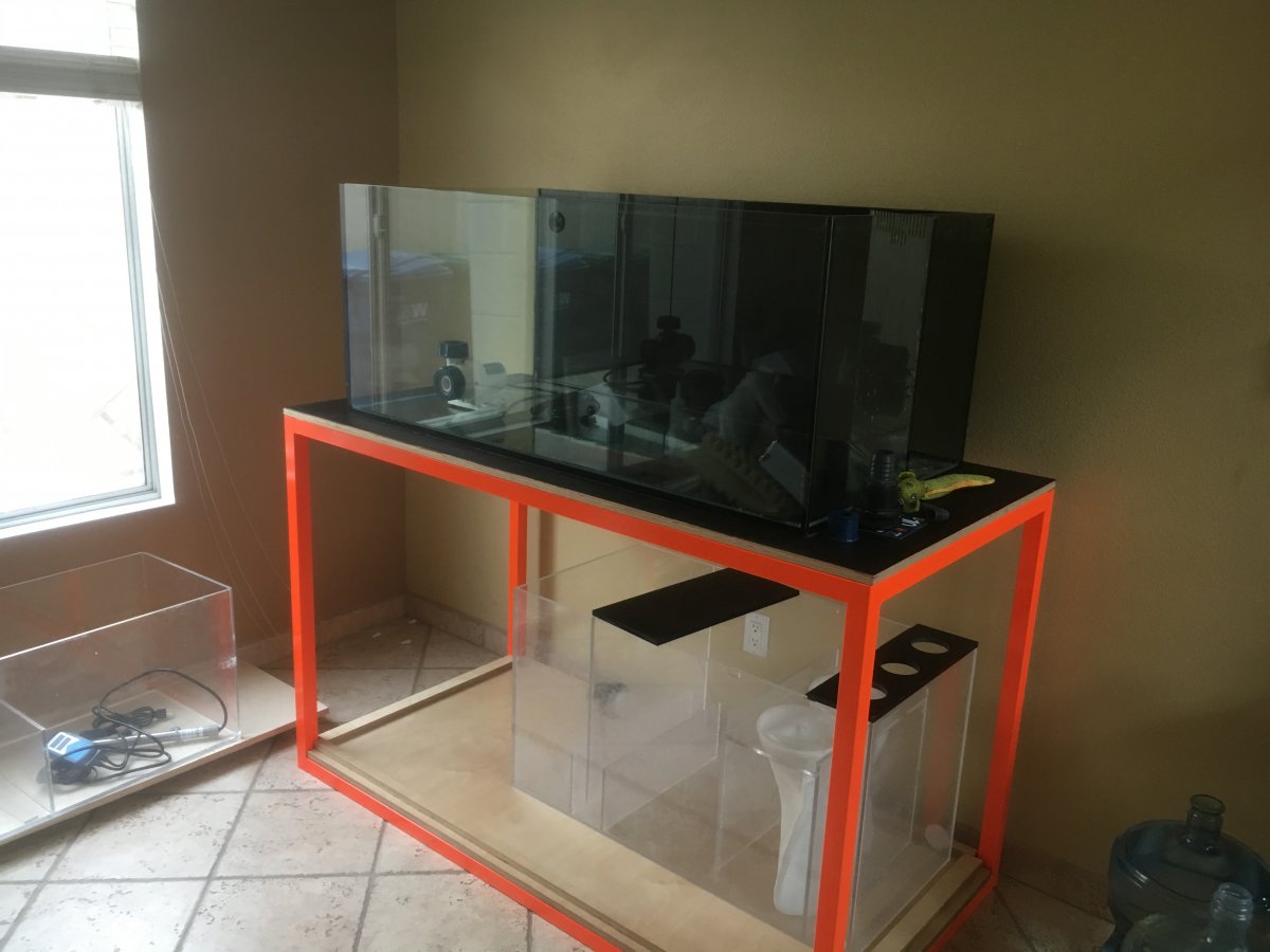 NEW DIY REEF AFTER BEING OUT FOR 13 YEARS | Reef2Reef