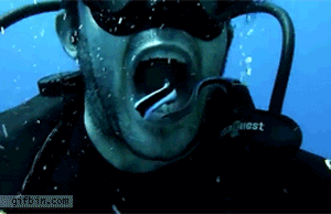 q9rjs.gif