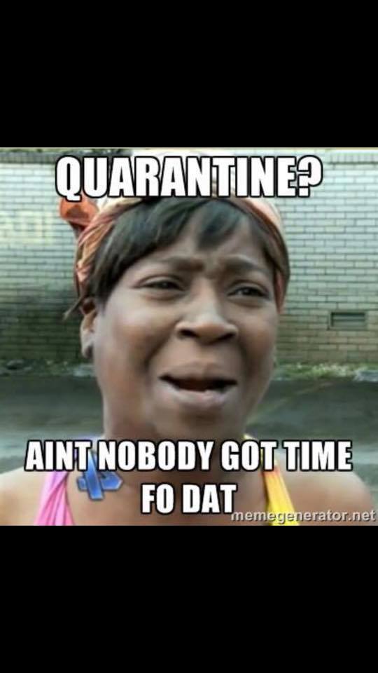 quarantine.jpg