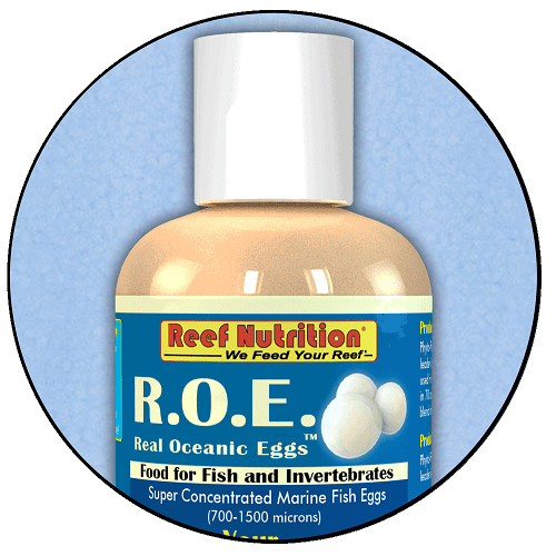 r-o-e-real-oceanic-eggs-reef-nutrition-21817414472.png