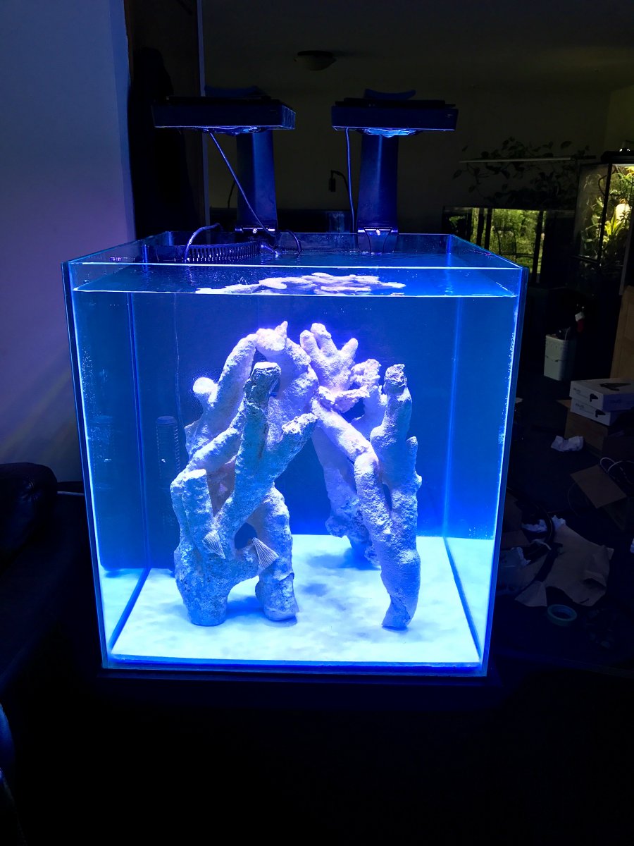r2.jpg