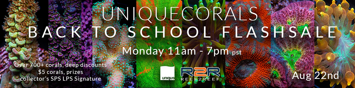 R2R-Backtoschool-flashsale-R2R-Aug22.png