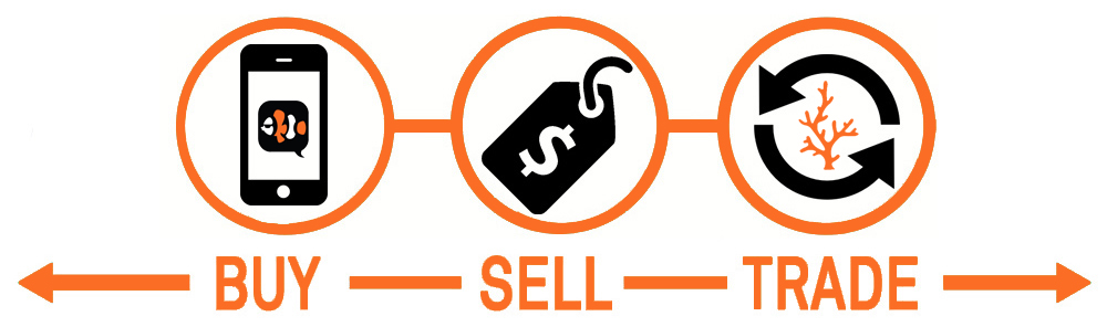 R2R Buy Sell Trade Graphic.jpg
