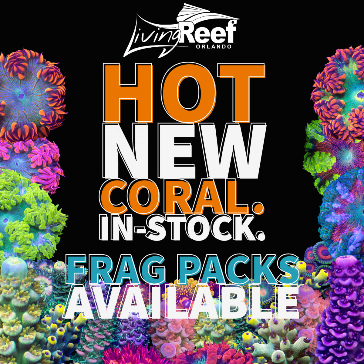 R2R Coral Update - Frag Packs.png