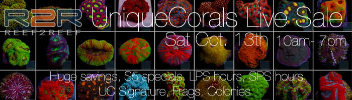 R2R Oct-13-14 sale.jpg