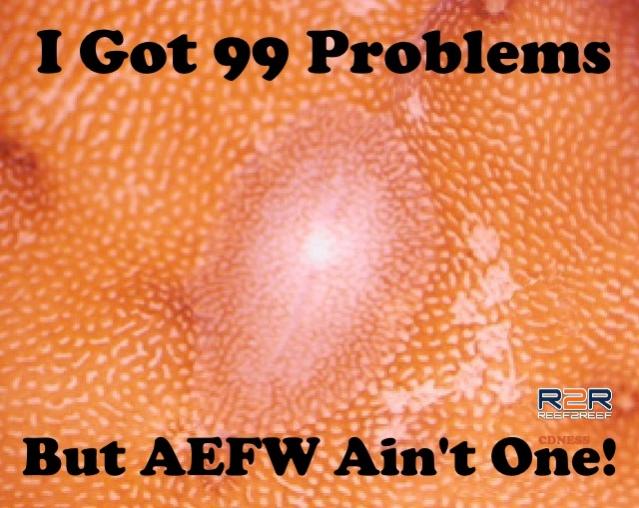 R2R_AEFW99Problems.jpg