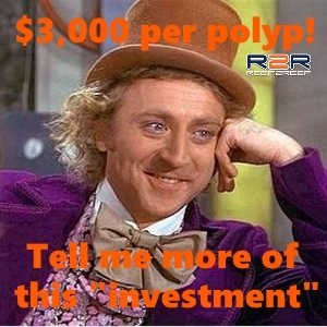 R2R_WonkaPolypInvestment.jpg