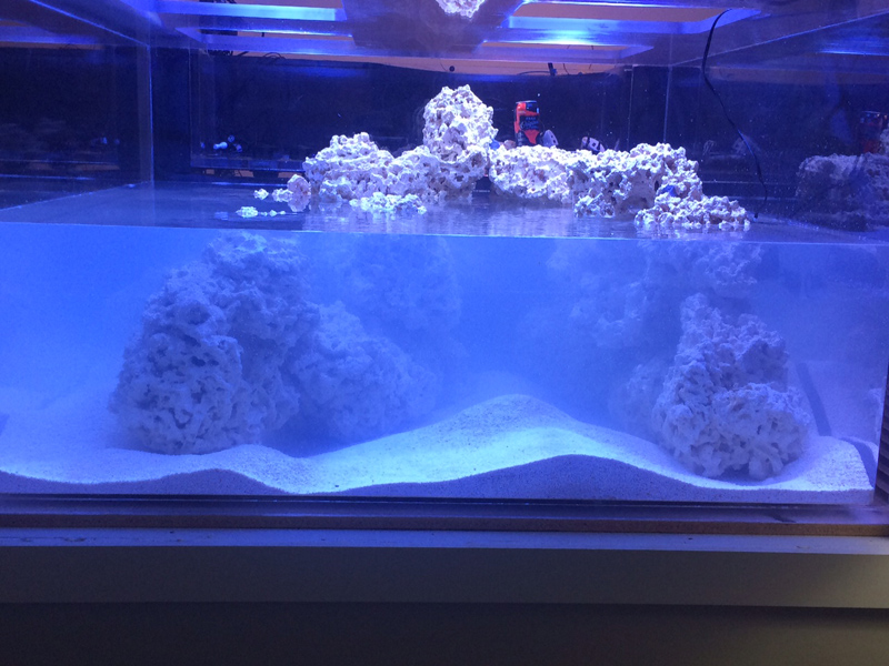 Tank still cloudy after 48 hours of putting sand. | REEF2REEF Saltwater How To Get Rid Of Sand Dust In Aquarium