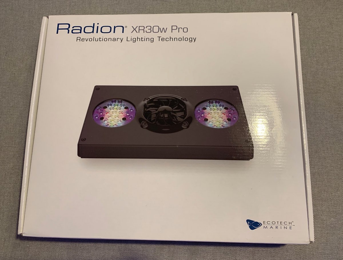 radion 1.jpeg