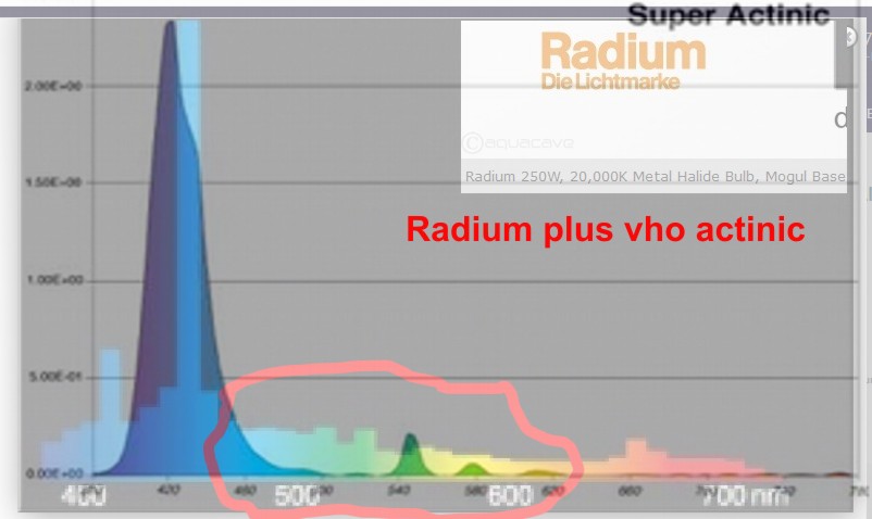 radium8.JPG