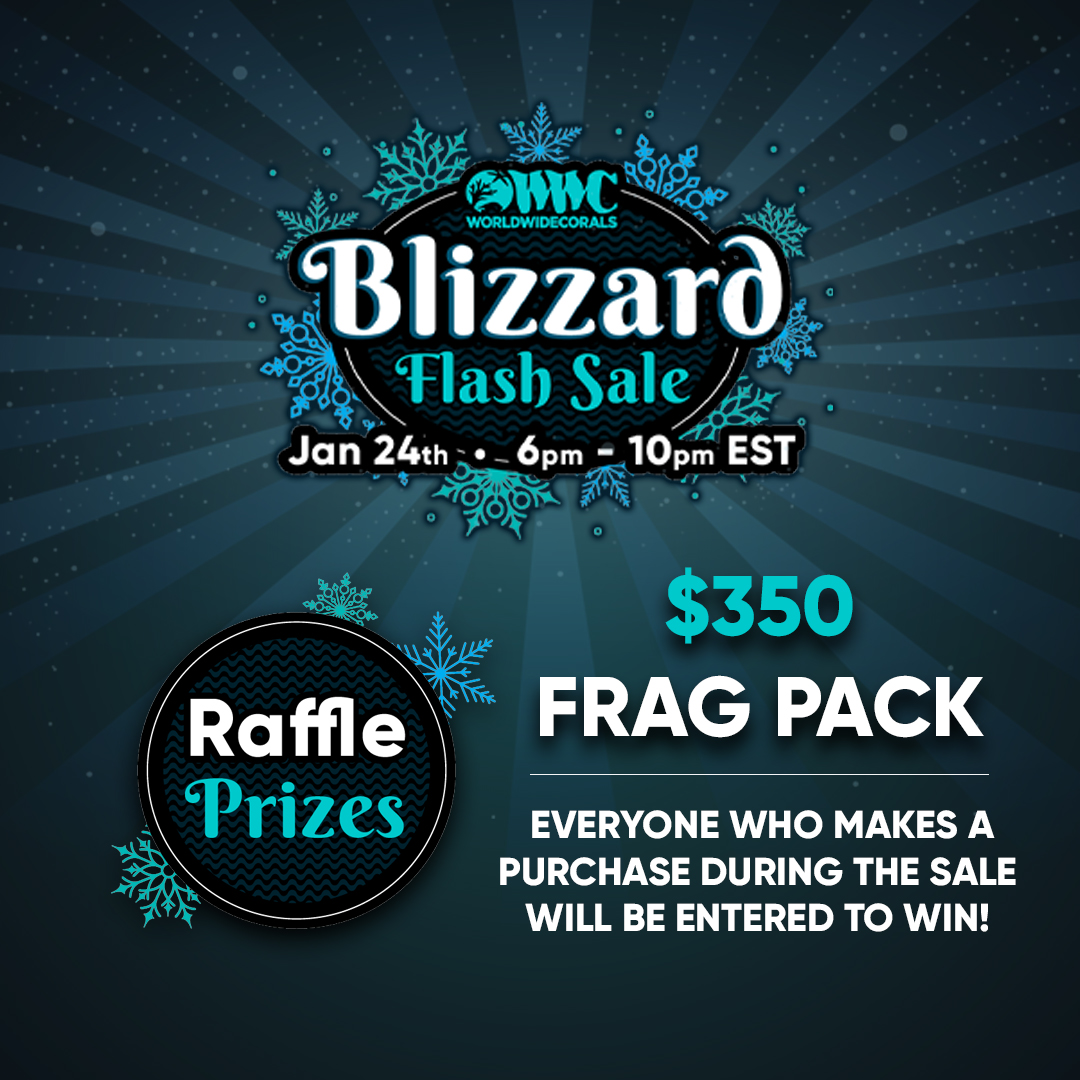 The WWC Blizzard Flash Sale! 1000 Frags up to 90% OFF Jan 24th, 6pm EST ...