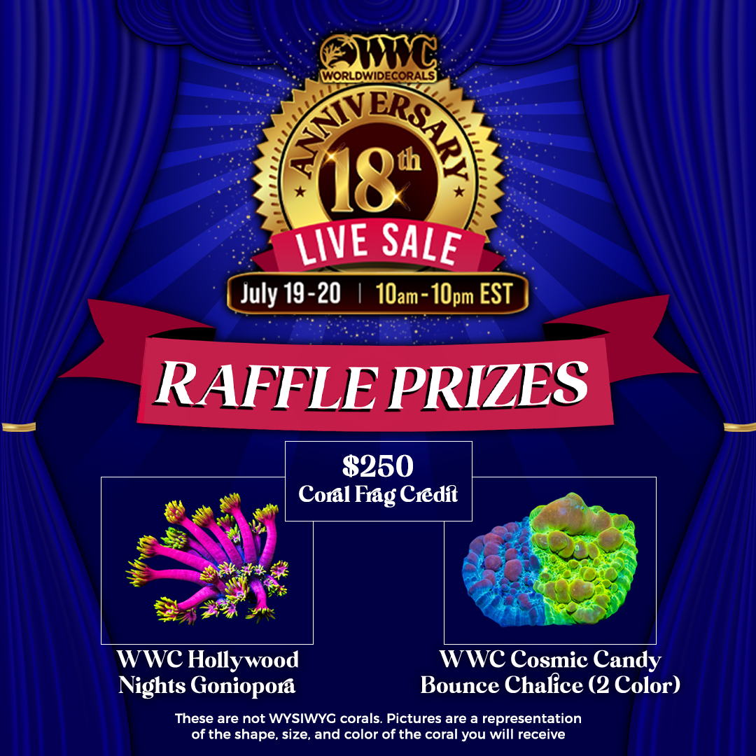 raffle-prizes.jpg