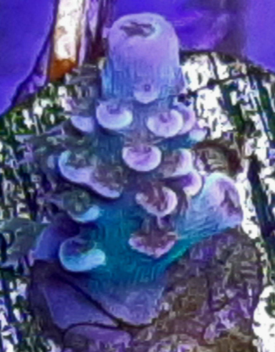 RAINBOW BRITE.jpg