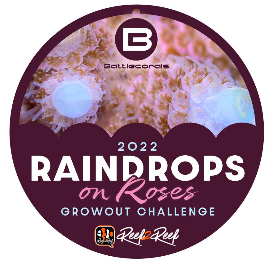 Raindrops-2.png