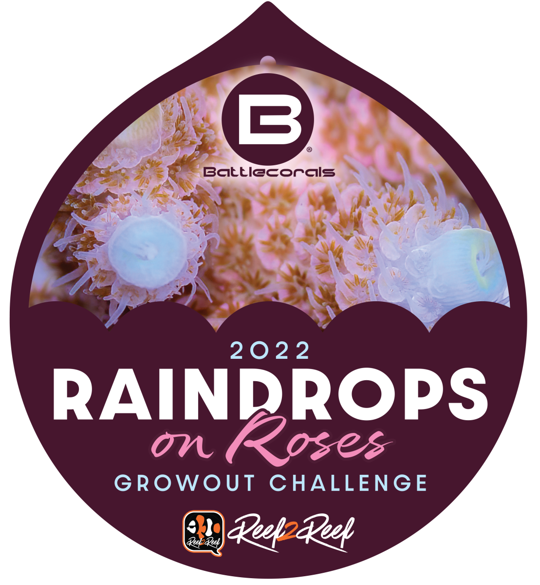Raindrops-Final-1.png
