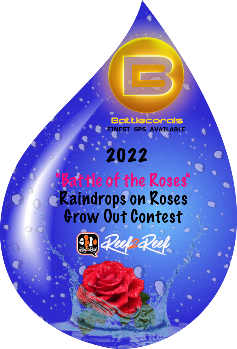 Raindrops on Roses (2).png