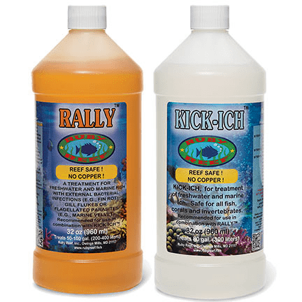 Ruby Reef -Shelf Life | REEF2REEF Saltwater and Reef Aquarium Forum
