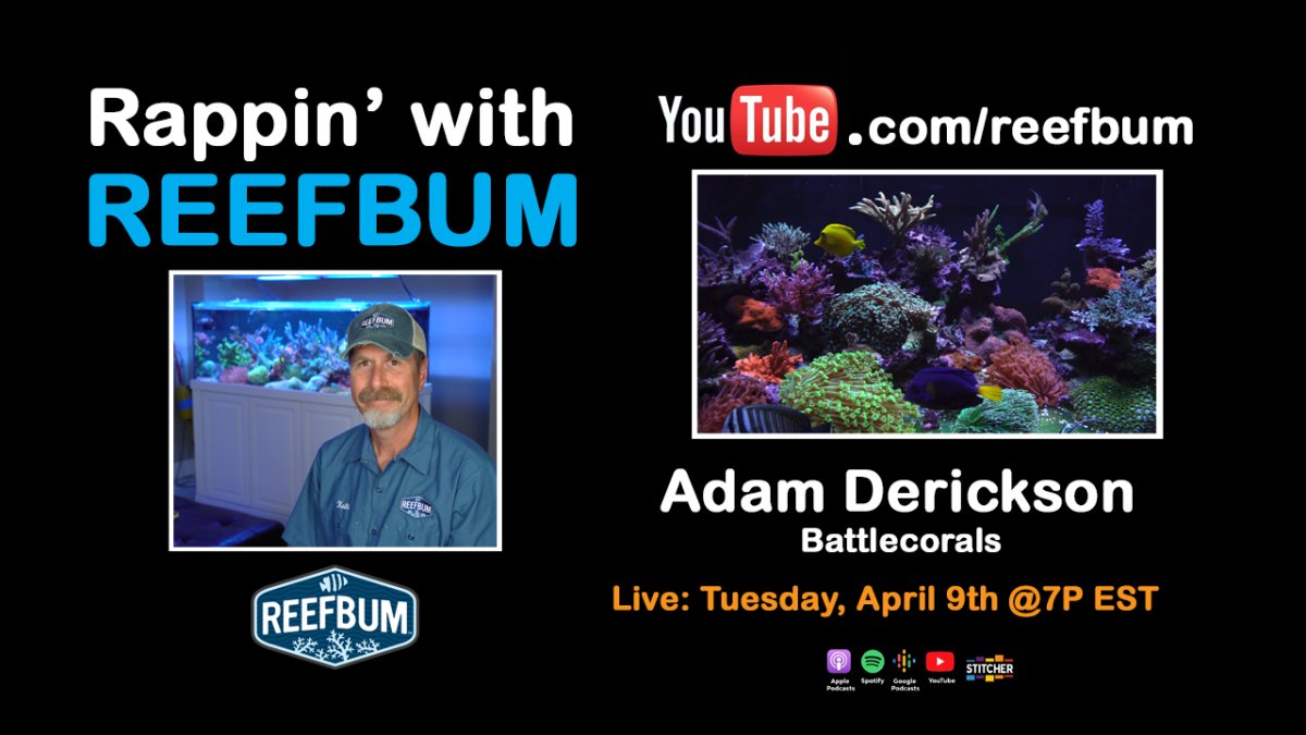 Rappin With ReefBum Title Slide copy.jpg
