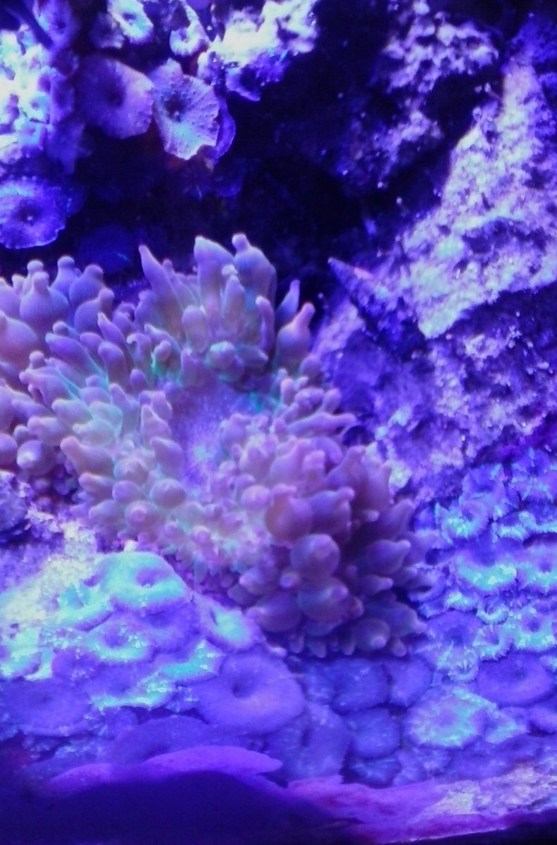 rbta doing well 033.jpg