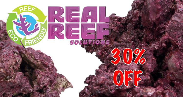 realreef-30.jpg