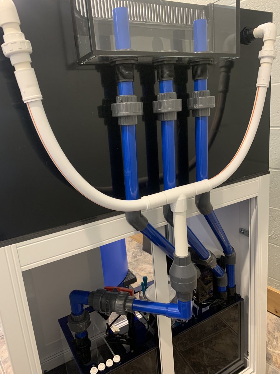 rear plumbing full.jpeg
