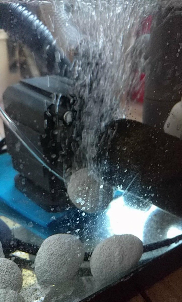 received_10156042429874074.jpeg
