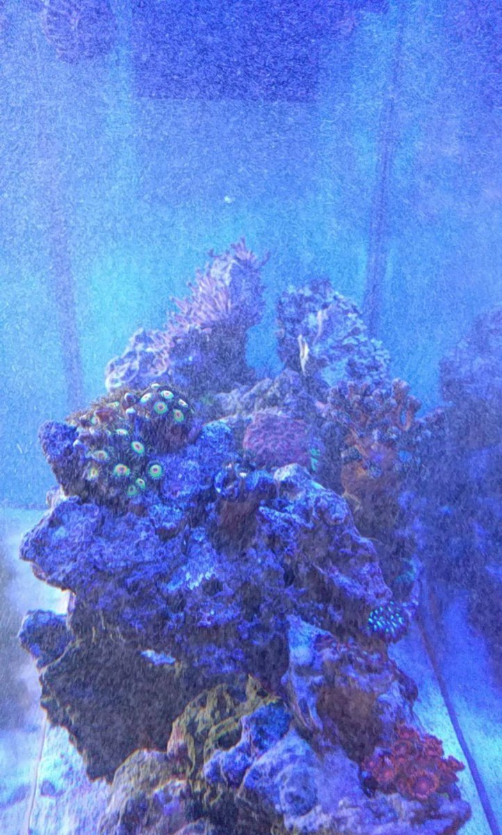 received_10156042434054074.jpeg